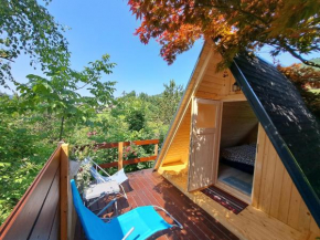Ozy's place Kamnik
